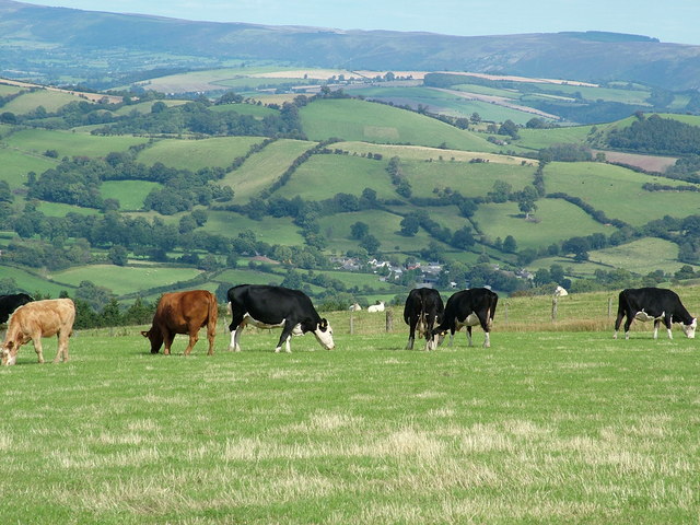 Shropshire_Hills_-_geograph.org.uk_-_1479524