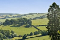 Beautiful rolling green hills and trees in the countryside near Dick Turpin Cottage.