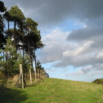 Lush green field with trees and cloudy sky in Shropshire.